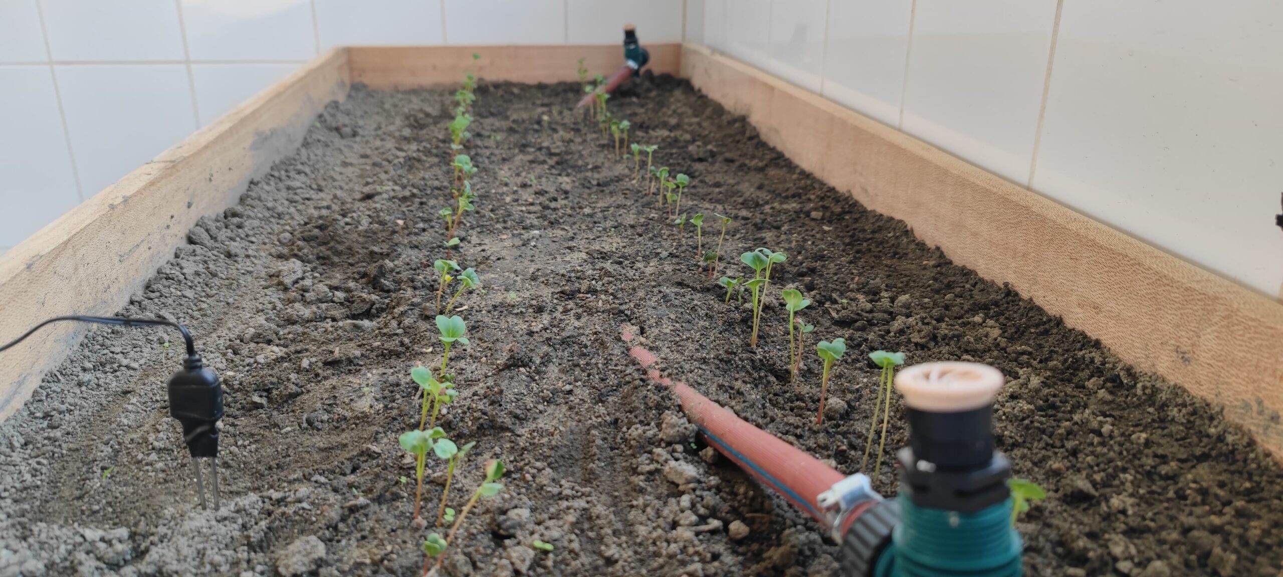 Actividades académicas