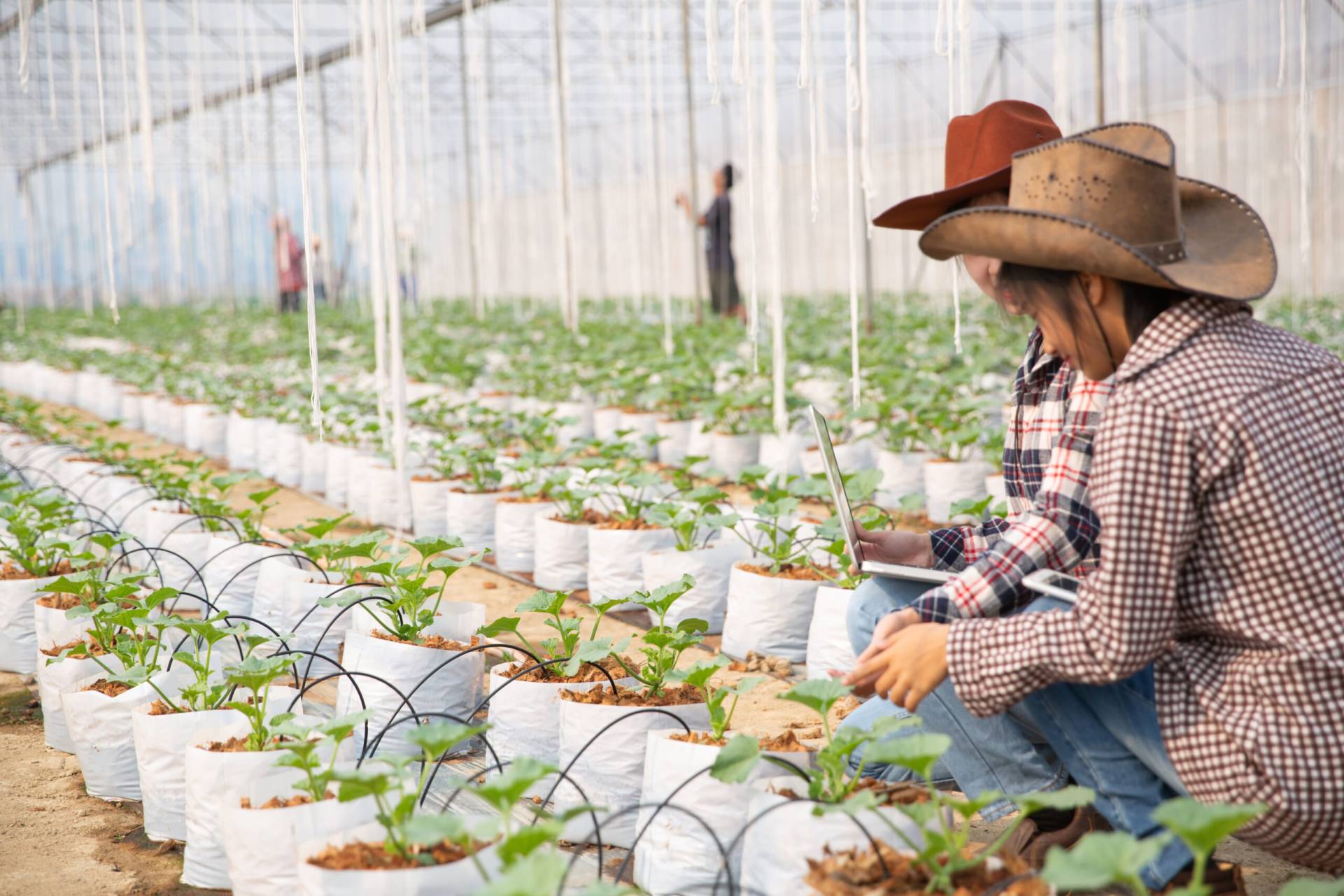 Producción Agropecuaria